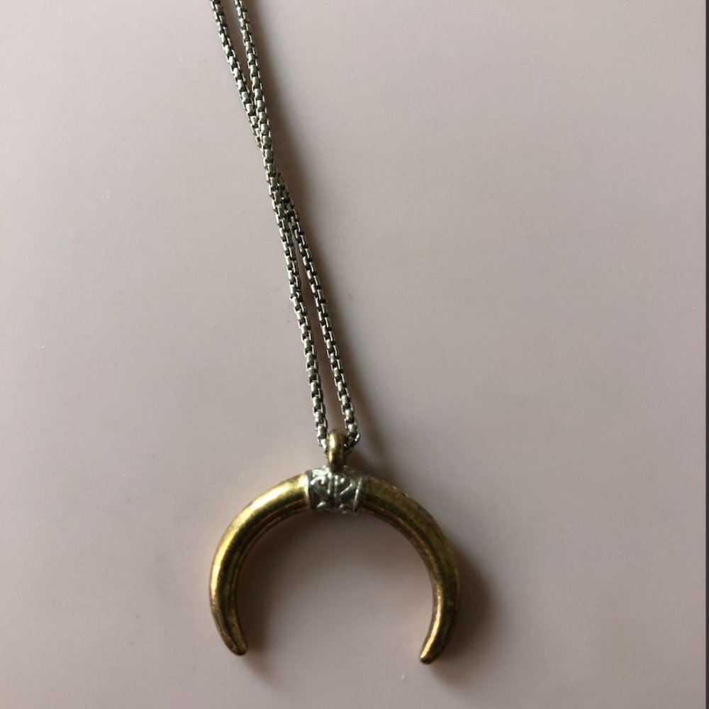 Alex and Ani Horn Necklace